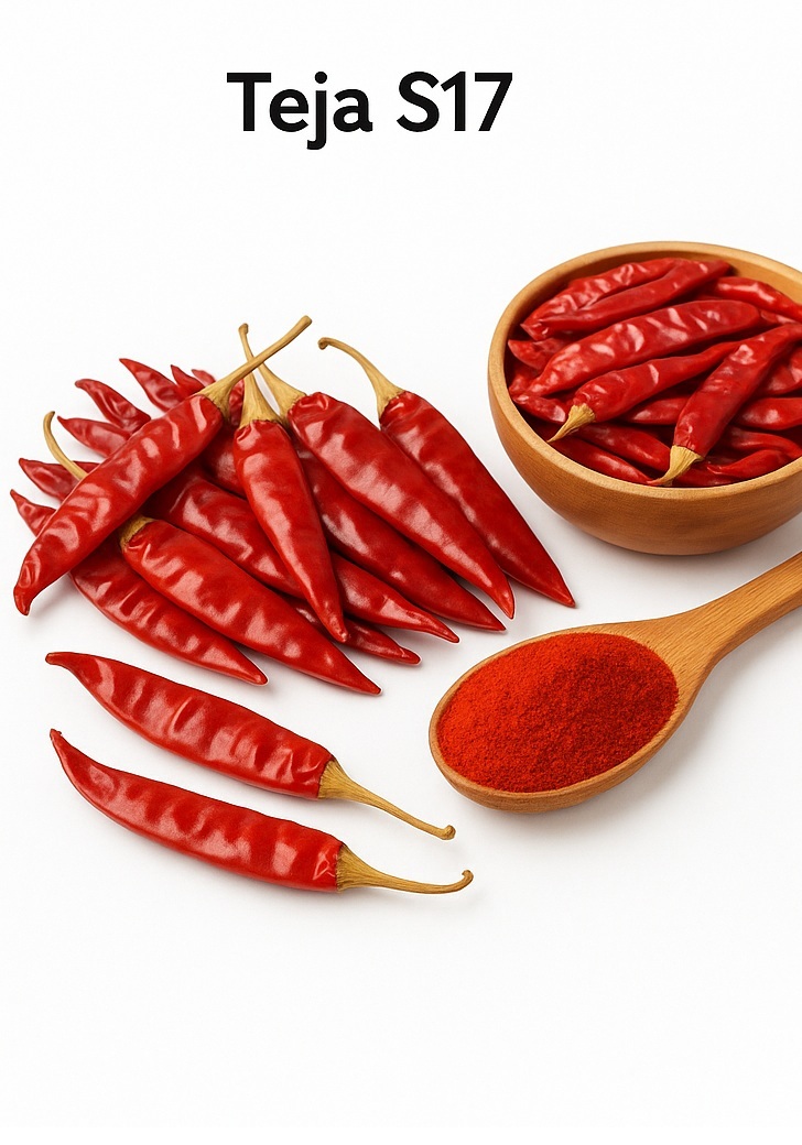 Teja S17 Indian Red Chilli